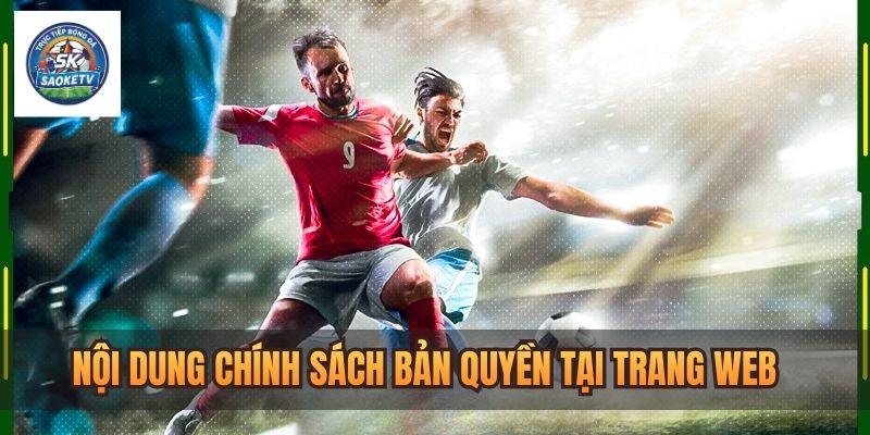 cac quy dinh nen biet trong chinh sach ban quyen 1