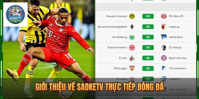 gioi thieu ve trang xem bong da saoketv 1