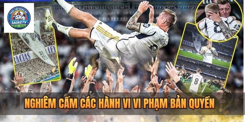 nhung quy dinh ve hanh vi vi pham ban quyen 1