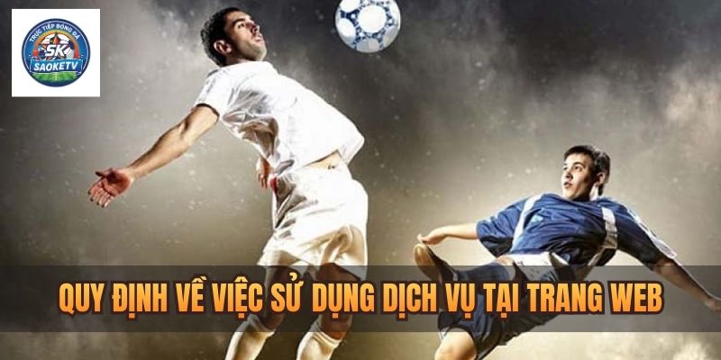 quy dinh ve viec su dung cac dich vu tai trang web 1